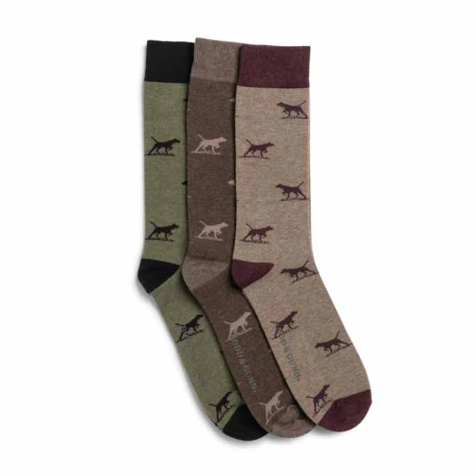 Rodd & Gunn Dogs-A-Plenty Three Pack Socks